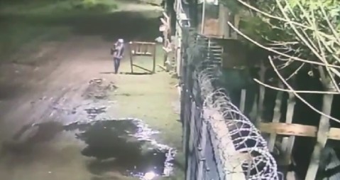 Video: ladrón quedó filmado cuando entraba a robar a una casa del barrio Los Troncos