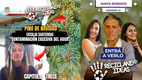 Reciclando Ideas Nº13: Del Pino de Navidad al Riesgo en el Espacio y la Geoingeniería - Un Viaje por la Sostenibilidad