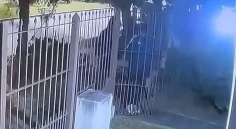 Video: le robaron la moto entrando a su casa por la madrugada