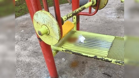 Fueron a entrenar al Polideportivo municipal y se encontraron con una aut&eacute;ntica "cochinada"