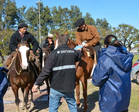 Bárbara Gagno opinó sobre el resultado de los criticados controles de la "Peregrinación a Caballo a Luján"