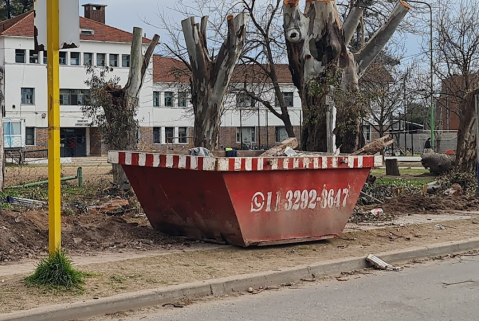 Renuevan el muro del Colegio Javier Tapié, pero algunos de los trabajos alarmaron a ambientalistas
