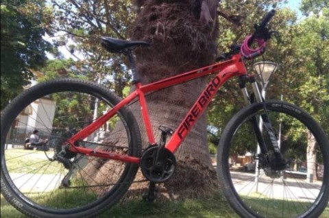 Video: dejó su bicicleta en la vereda para entrar a comprar a un kiosco y se la robaron