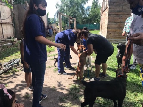 Campaña de vacunación antirrábica para perros y gatos en el barrio San Martín