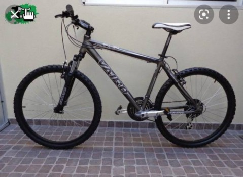 Robaron una bicicleta e intentaron llevarse una moto pasándola por arriba de la reja