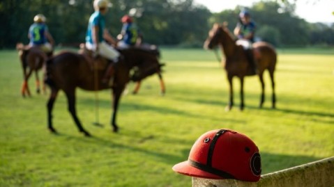 Se abre un curso gratuito para trabajar como responsable de canchas de polo: cómo anotarse