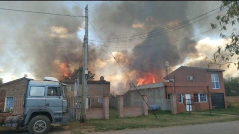 Importante incendio forestal afectó al barrio Raffo