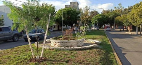 El área de Producción inició la plantación de árboles en los bulevares del centro