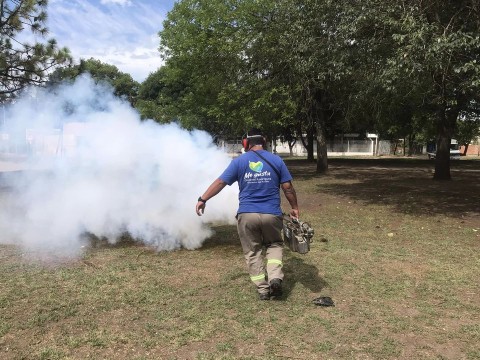 Fumigan plazas para control de plagas: cómo y en qué casos contactar al Municipio