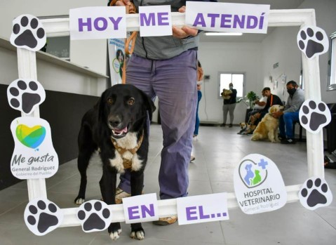 Confirmaron que el Hospital Veterinario empezó a cobrar "un bono solidario": cuánto se pide y por qué el ajuste