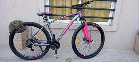 La angustia de una auxiliar de la EP Nº1 a la que le robaron la bicicleta: "es mi movilidad de trabajo"