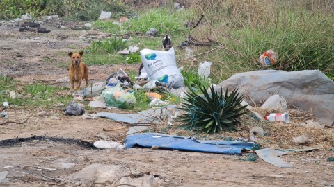Informe exclusivo: los vecinos mostraron cómo el Municipio alimentó el enorme basural que afecta al barrio San Carlos