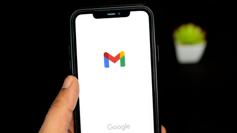 Google eliminará cuentas a millones de usuarios: desde cuándo y cómo saberlo