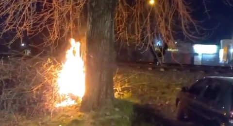 Quemas irresponsables: prendió fuego ramas y casi quema el auto de un vecino