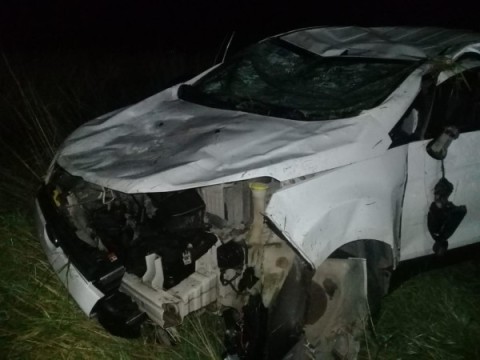 Familia rodriguense se accidentó en Azul y busca a su perro, perdido tras el episodio