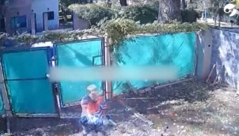 Trascendió un video del salvaje raíd delictivo de "la banda del Voyage" que cayó el sábado