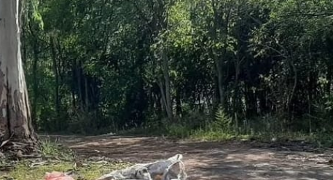 Asaltaron a punta de cuchillo a cinco estudiantes de la escuela Javier Tapié