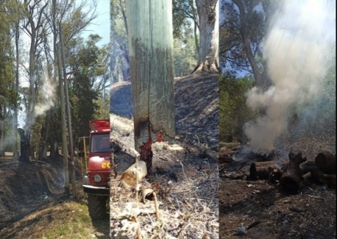 El pedido de Bomberos ante la ola de incendios forestales de los últimos días