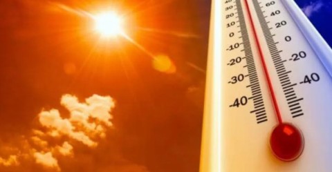 Alerta amarilla por las altas temperaturas