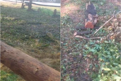 "Es para llorar": vecinos autoconvocados denunciaron nuevas irregularidades en el Monte del Hospital