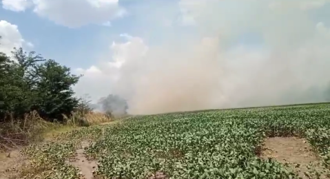 Más incendios forestales en General Rodríguez: bomberos batallaron casi 4 horas ante las llamas en barrio San Carlos