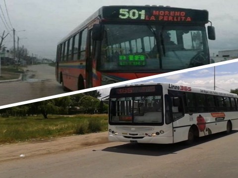 Dos de las empresas de colectivos que más pasajeros transportan en el AMBA prestan servicio en General Rodríguez