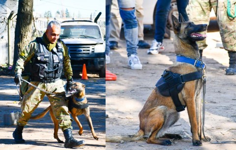 Presentaron a la nueva brigada canina de seguridad para General Rodríguez: qué tareas realizará