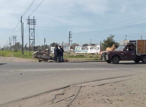 Caballo se desprendió de un carro y chocó a un colectivo en el cruce Las Latas