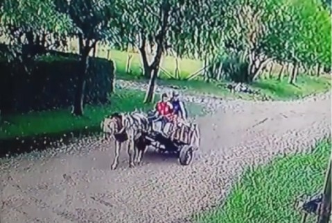 Denuncian robo de "caballochorros" en barrio La Posta