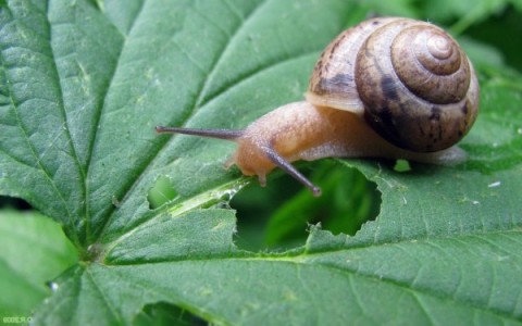 Este martes se har&aacute; un taller para el control de plagas