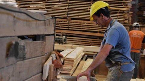 Nuevas oportunidades de trabajo en General Rodríguez: se busca un oficial armador y un plegador