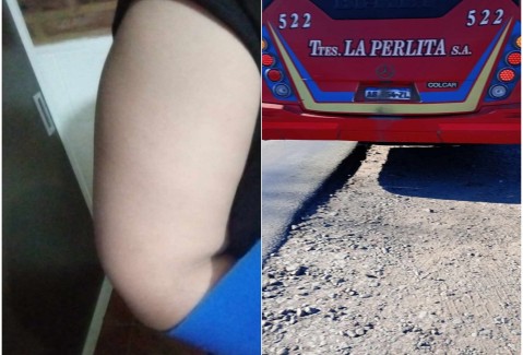 Por una imprudente maniobra del chofer del colectivo en que viajaba junto a su hijo, ahora sufre varias lesiones