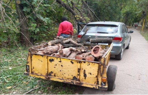 El grupo "No a la Tala" volvió a denunciar otra situación irregular en el Monte del Hospital