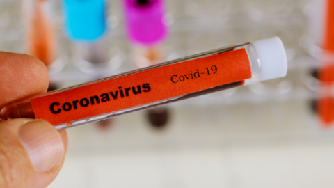 Coronavirus en Gral Rodríguez: 29 nuevos infectados en las últimas 24 horas