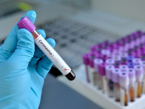 Coronavirus: registraron 17 casos positivos y más recuperados