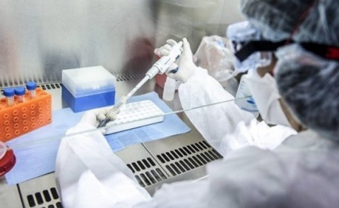 Covid-19: misma cantidad de contagios y recuperados en el reporte del sábado