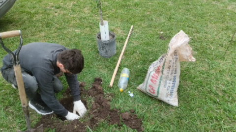 La cooperativa Rodríguez Sustentable plantó árboles en la entrada a la guardia del Hospital