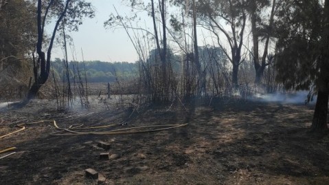 El terrible incendio de Mi Rincón, en primera persona: "Cada minuto eran 10 horas para nosotros"