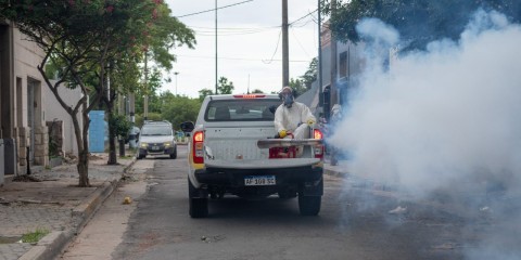 Dengue: por qué el Municipio no hace fumigaciones masivas en Gral Rodríguez y cómo es el protocolo ante un nuevo caso