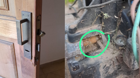 Vandalizaron y robaron en la casa de una vecina mientras trabajaba