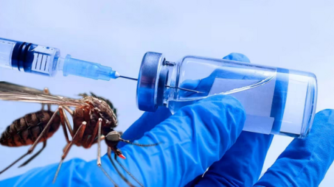 Concejales opositores piden al Municipio datos e información sobre el manejo del dengue