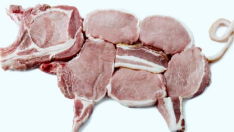 El Municipio firmó un convenio con la Universidad de Luján para reforzar la prevención de una peligrosa enfermedad