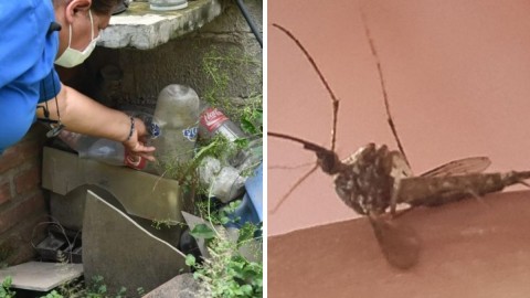 Este jueves habrá jornada de salud y prevención del dengue en un barrio de Gral Rodríguez