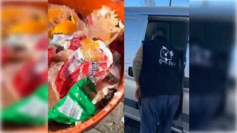 Enojo y video en Los Aromos por residuos de pollo arrojados sueltos en el canasto barrial
