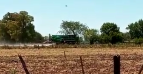 Denunciaron fumigación ilegal en un campo de General Rodríguez