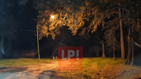 Trágico hallazgo en el monte del Hospital Vicente López