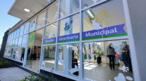 El Hospital Veterinario Municipal celebra su primer aniversario