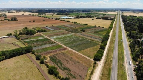 Ya se compran terrenos locales con criptomonedas