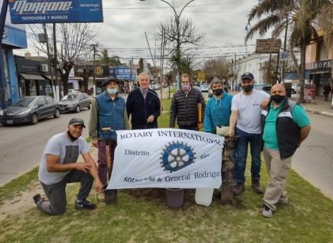 El Rotary Club de Gral. Rodríguez realizó una jornada de forestación en espacios públicos