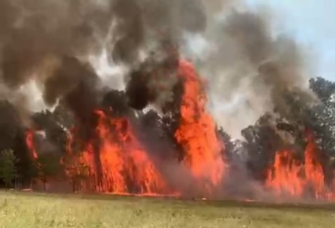 Se declaró la Emergencia Ambiental en General Rodriguez por los incesantes incendios forestales